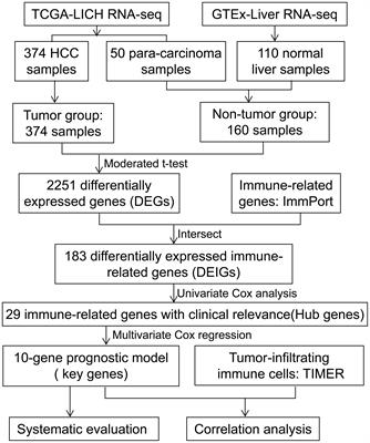 A novel immune-related gene signature predicts the prognosis of hepatocellular carcinoma